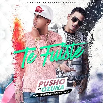 Te Fuiste 专辑 Pusho/J Alvarez/Carlitos Rossy/Luigi 21 Plus/Franco El Gorila