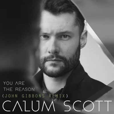 You Are The Reason (John Gibbons Remix) 專輯 Calum Scott