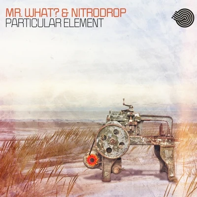 Particular Element 專輯 Mr.what?/Nitrodrop