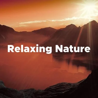 Relaxing Nature: Music to Sleep to 专辑 Villa Musica Ensemble/Classical Music Songs/Leonard Hokanson