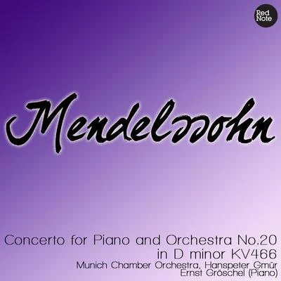 Mozart: Piano Concerto No.20 in D Minor K. 466 專輯 Munich Chamber Orchestra