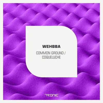 Common GroundCoqueluche 專輯 Wehbba/Maetrik/Stimming/Doomwork/Patrick Chardronnet