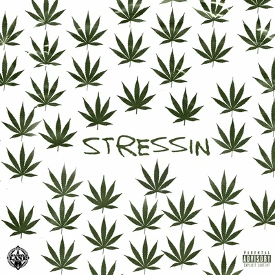 Stressin 專輯 Problem/Iamsu!/IamSu