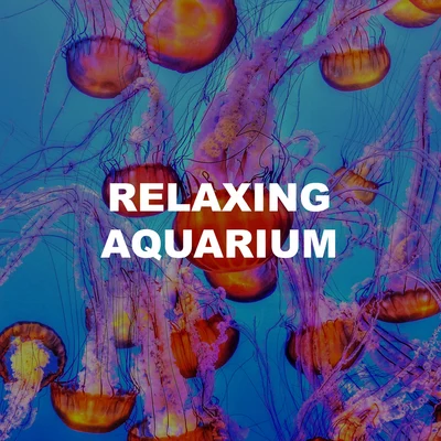 Relaxing Aquarium 专辑 Ocean Sounds ASMR