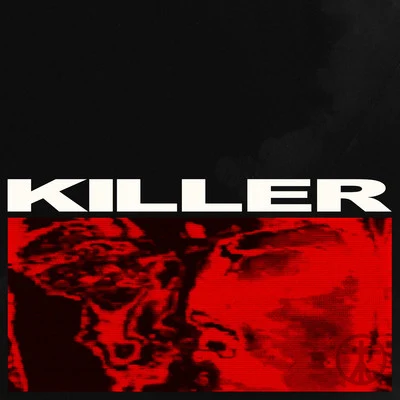 Killer 專輯 Boys Noize