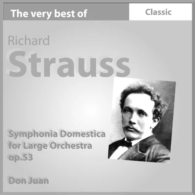 The Very Best of Richard Strauss: Symphonia domestica for Large Orchestra, Op. 53 专辑 Orchestra del Teatro alla Scala di Milano