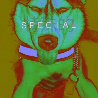 ＳＰＥＣＩＡＬ( 特 殊 的 ) 專輯 C.D/$ailor/李建一akaFAT