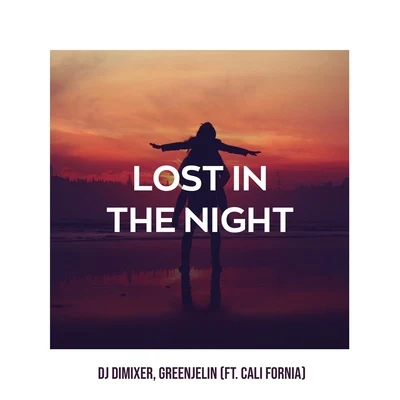 Lost in the Night 專輯 DJ DimixeR/Syntheticsax