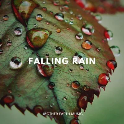 Falling Rain 專輯 Asian Zen Spa Music Meditation