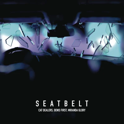 Seatbelt (with Denis First) (Radio Edit) 專輯 Cat Dealers/Annelisa Franklin/Nils Hoffmann/Diana Miro/VIZE