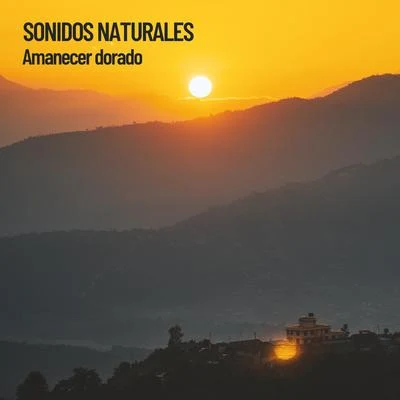 Rest & Relax Nature Sounds Artists Sonidos Naturales: Amanecer dorado