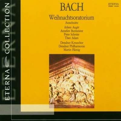 Bach: Weihnachtsoratorium, BWV 248 專輯 Lester Lynch/Anna Rad-Markowska/Brian Jagde/Roxana Constantinescu/Melody Moore