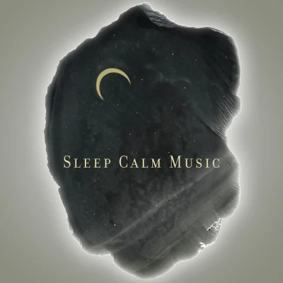 Sleep Calm Music: Pure Relaxation after Nightfall 专辑 Deep Sleep Hypnosis Masters