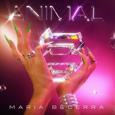 Animal 专辑 Tiago PZK/Maria Becerra