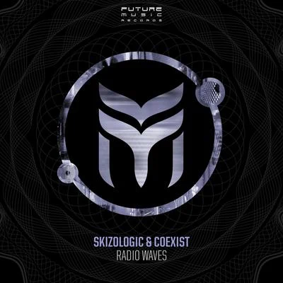 Skizologic Radio Waves