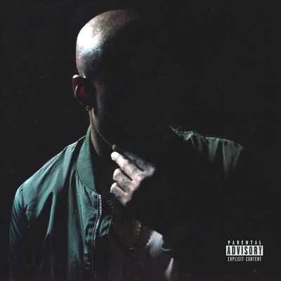 Shadow of a Doubt 专辑 Freddie Gibbs