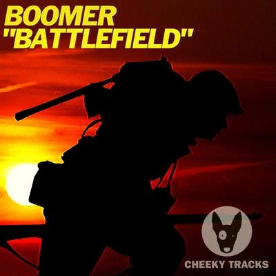 Battlefield 专辑 Boomer/Rocko