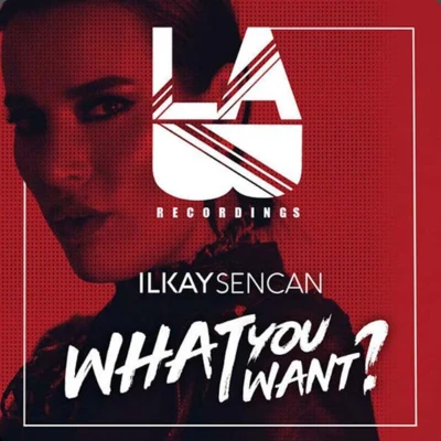 Ilkay SencanVintage CultureDimitri VegasYoelle What You Want