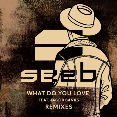 What Do You Love (Remixes) 專輯 Seeb