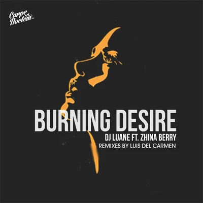 Burning Desire (feat. Zhina Berry) 专辑 Dj Luane/Zyme