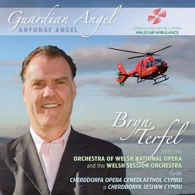 Guardian Angel 專輯 Bryn Terfel