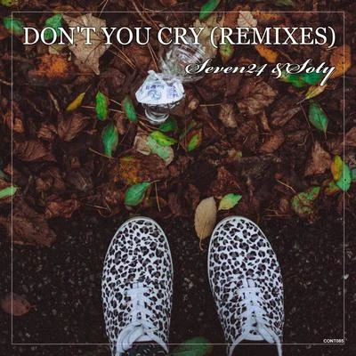 Don&#x27;t You Cry (Remixes) 专辑 Seven24/Nylon/Sattva Project/Jim Ross/R.I.B