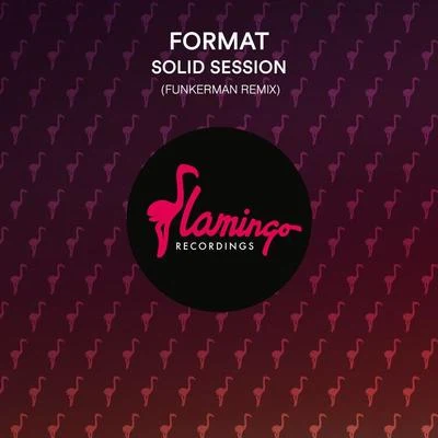 Funkerman Solid Session (Funkerman Remix)