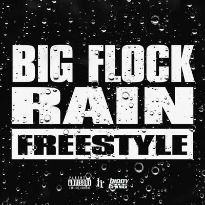 Rain 专辑 Big Flock