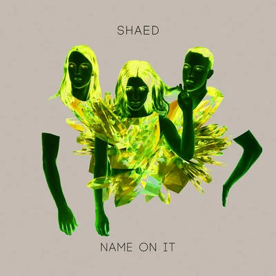 Name On It 专辑 Shaed