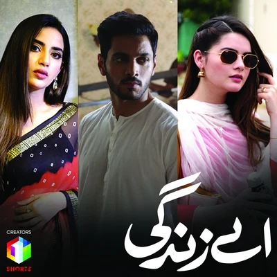 Aey Zindagi 專輯 Nadia Hashmi/Nabeel Shaukat Ali