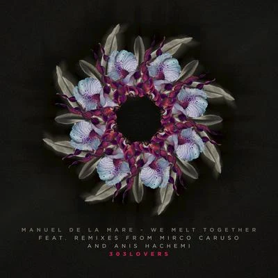 We Melt Together (The Remixes) 專輯 Manuel De La Mare/Robert Hood/Funkagenda/Richard Dinsdale/Darren Emerson