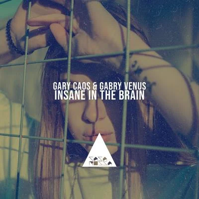 Insane in the Brain 专辑 Gabry Venus