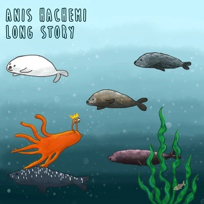 Long Story 专辑 Alex Kaspersky/Anis Hachemi