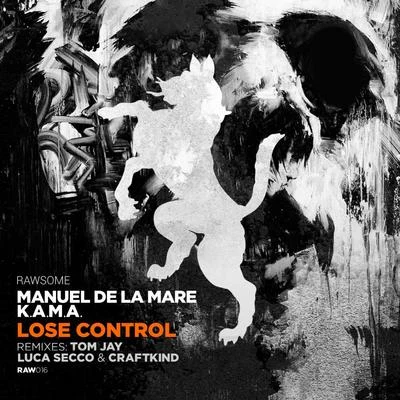 Lose Control 專輯 Manuel De La Mare/Robert Hood/Funkagenda/Richard Dinsdale/Darren Emerson