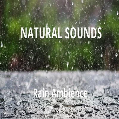 Rain Ambience 專輯 Natural Sounds/Meditation Rain Sounds/nature & Sounds Background