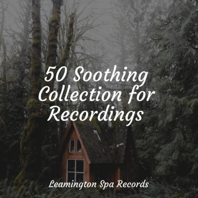 50 Soothing Collection for Recordings 專輯 Gentle Nature Sounds/Natureza/Academia de Música con Sonidos de la Naturaleza