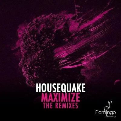 Housequake Maximize (Remix)