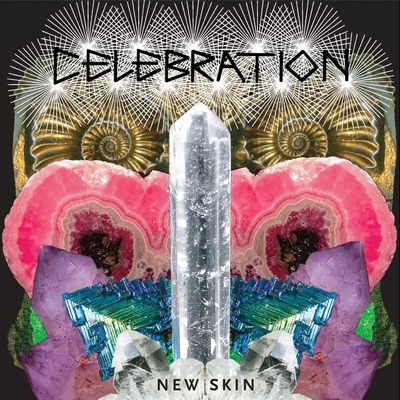 New Skin 專輯 Celebration/Ida Corr/Fedde Le Grand