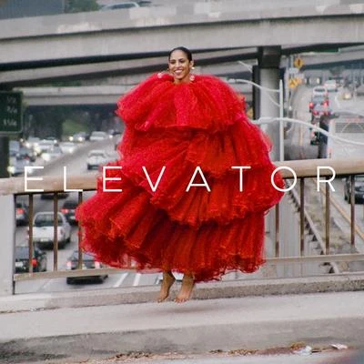 Elevator 專輯 Gavin Turek