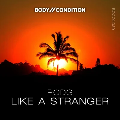 Like A Stranger 專輯 Rodg