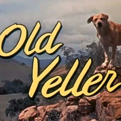 jojiBonobo old yeller