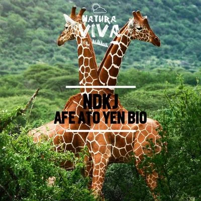 Afe Ato Yen Bio 專輯 NDKj