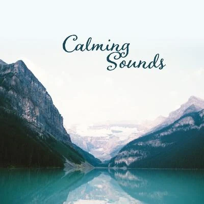 Calming Sounds: Sleep Ambience 2019, Deep Relaxation, Harmony, Inner Balance, Sounds of Nature 專輯 Natura Rilassante Suoni Collezione/Nature Sounds for Sleep and Relaxation/Healing Sounds for Deep Sleep and Relaxation