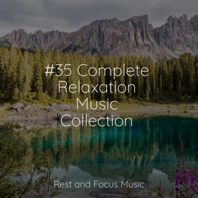 35 Complete Relaxation Music Collection 专辑 Shakuhachi Sakano