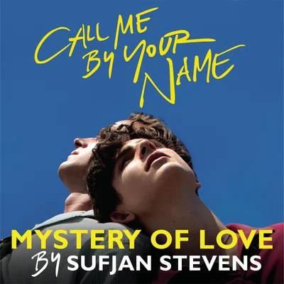 Mystery of Love 专辑 Shannon Stephens/Sufjan Stevens/My Brightest Diamond/Jim Guthrie