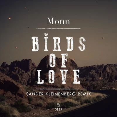 Birds Of Love (Sander Kleinenberg Remix) 專輯 Sander Kleinenberg