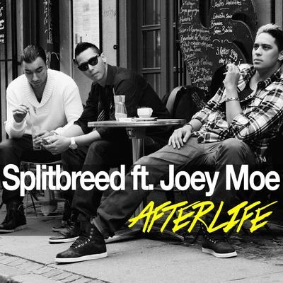 Afterlife 專輯 Splitbreed/Akylla/The Lifted