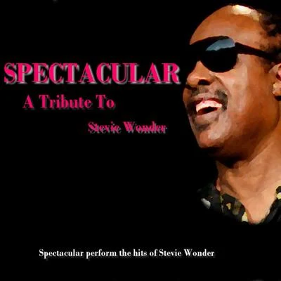 A Tribute To Stevie Wonder 专辑 Spectacular