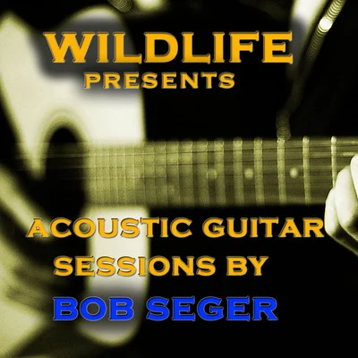 Acoustic Guitar Melodies: Bob Seger 專輯 Wildlife/Various Arists/Sergey Sivenenko/Cj RcM/RD Project