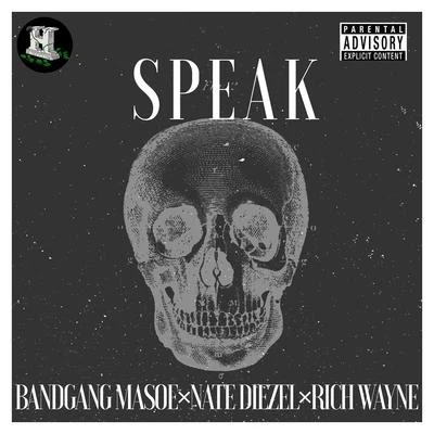 Speak 專輯 OnFully/Bandgang Masoe/The Godfather